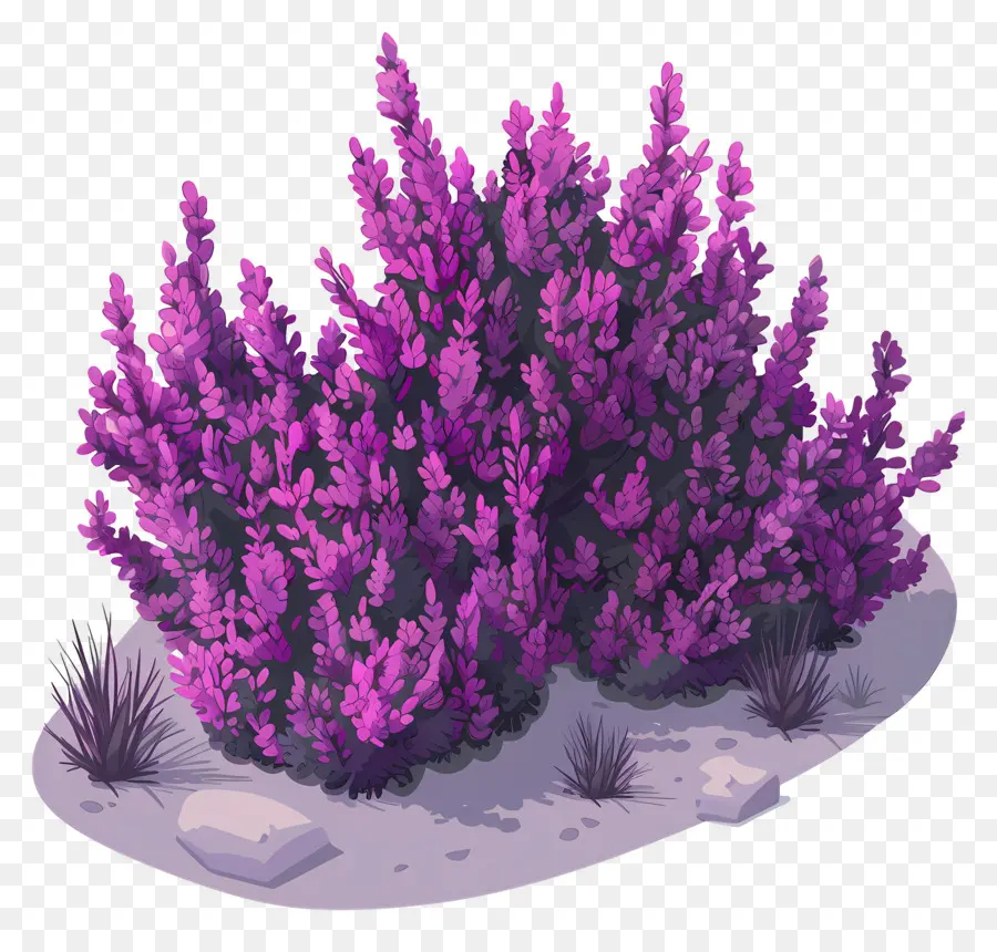 Arbusto De Flores，Arbusto Morado PNG