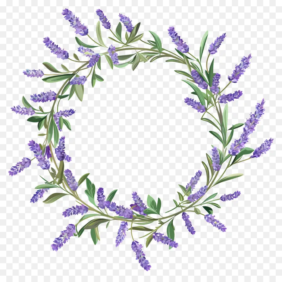 Corona De Lavanda，Hojas PNG