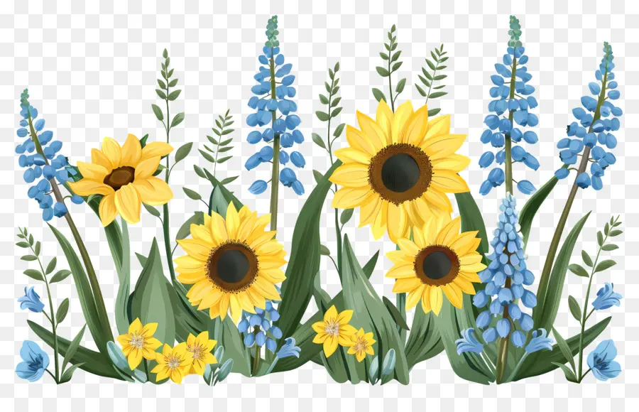 Frontera De Girasoles，Girasoles Y Flores Azules PNG