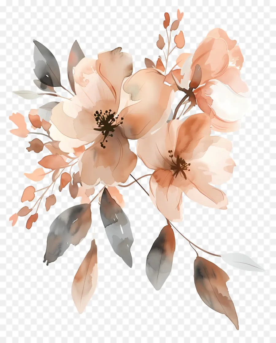 Flores De Acuarela，Flores Color Beige PNG