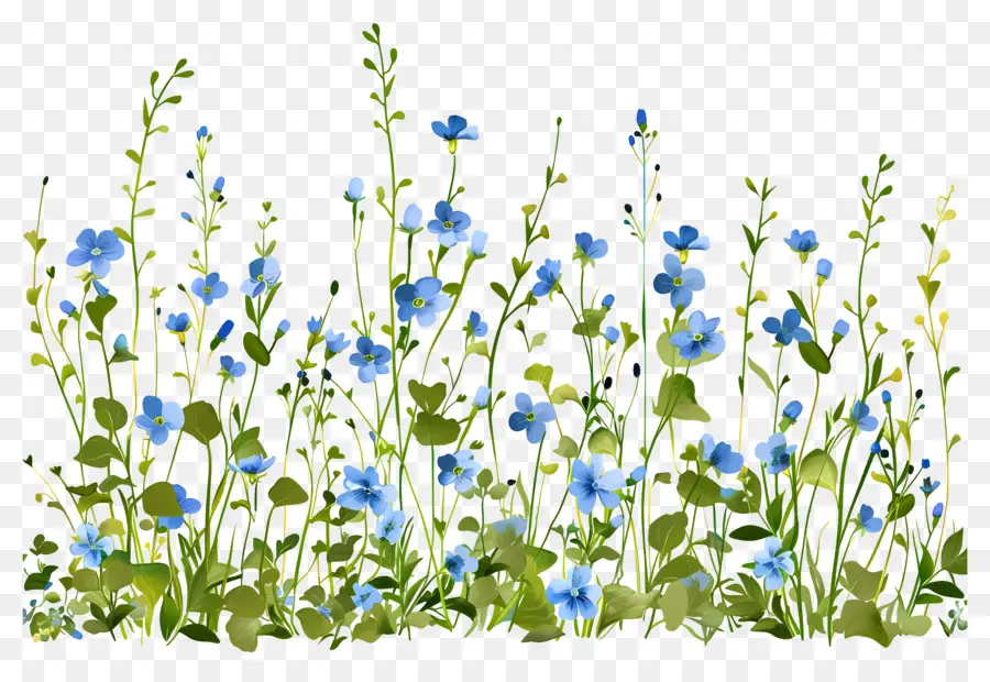 Arbusto De Flores，Plantas Verdes Con Flores Azules PNG