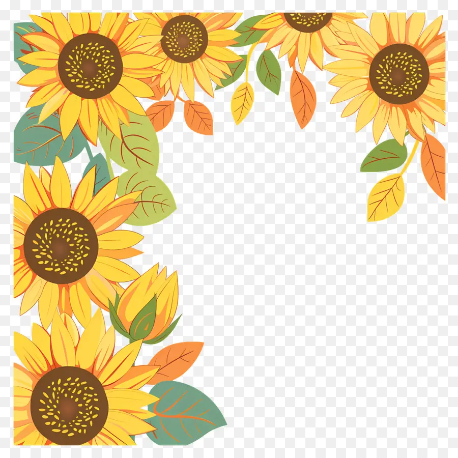 Marco De Girasoles，Girasoles Y Margaritas PNG