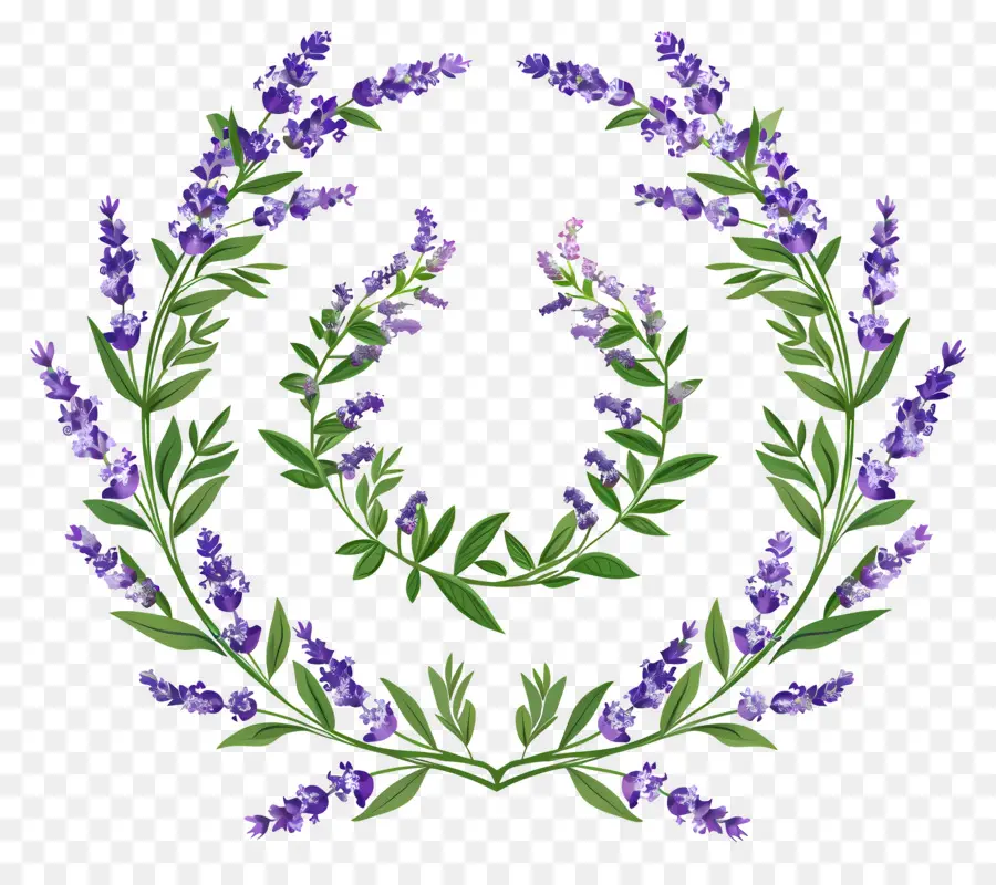 Corona De Lavanda，Hojas PNG