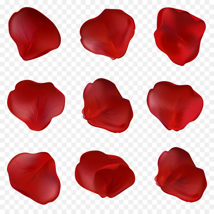 Pétalos De Flores，Pétalos Rojos PNG