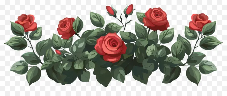 Rosal，Rosas PNG