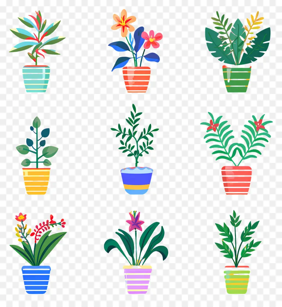 Flores En Macetas，Plantas En Macetas Coloridas PNG