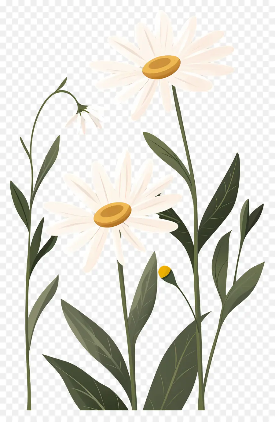 Flores De Margarita，Flor Amarilla PNG