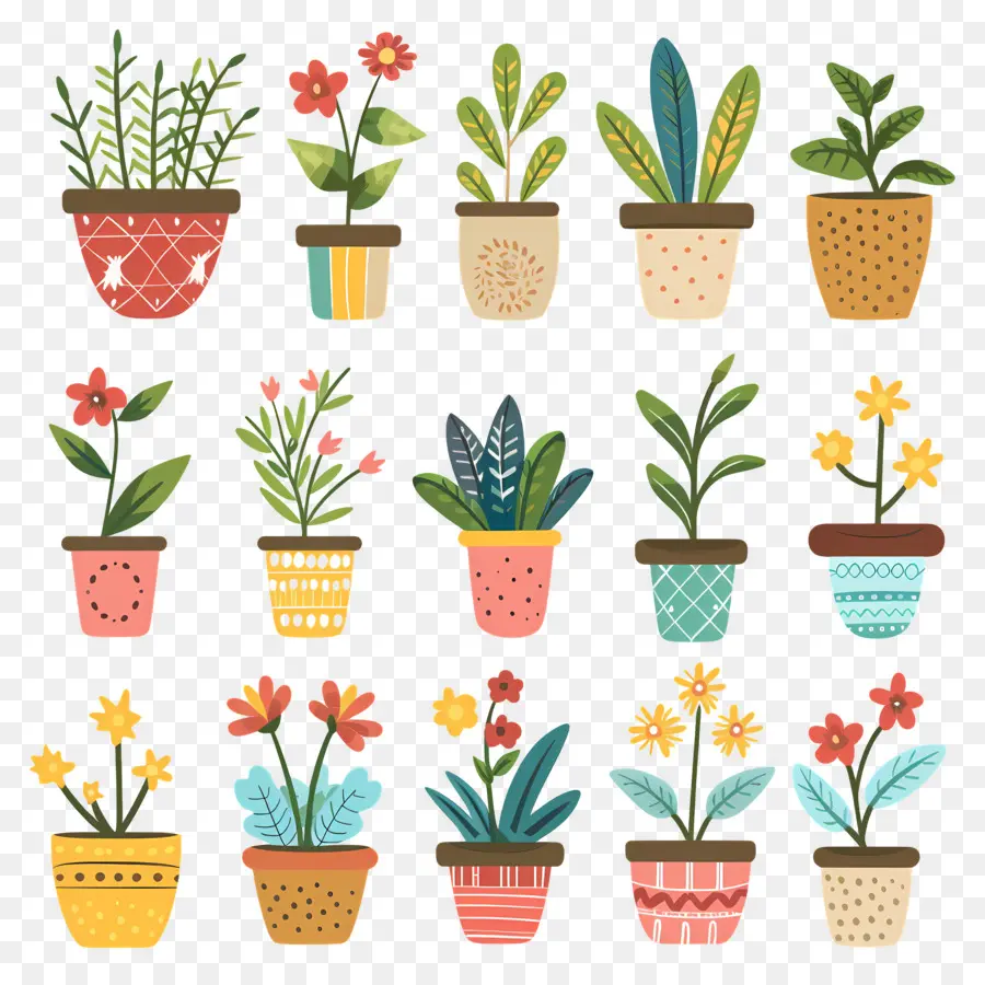 Flores En Macetas，Plantas En Macetas Coloridas PNG