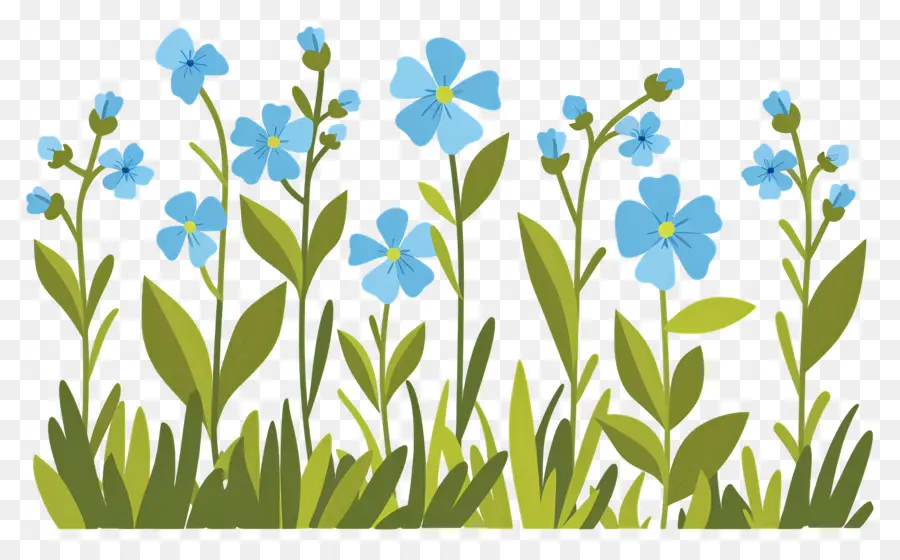 Arbusto De Flores，Plantas Verdes Con Flores Azules PNG