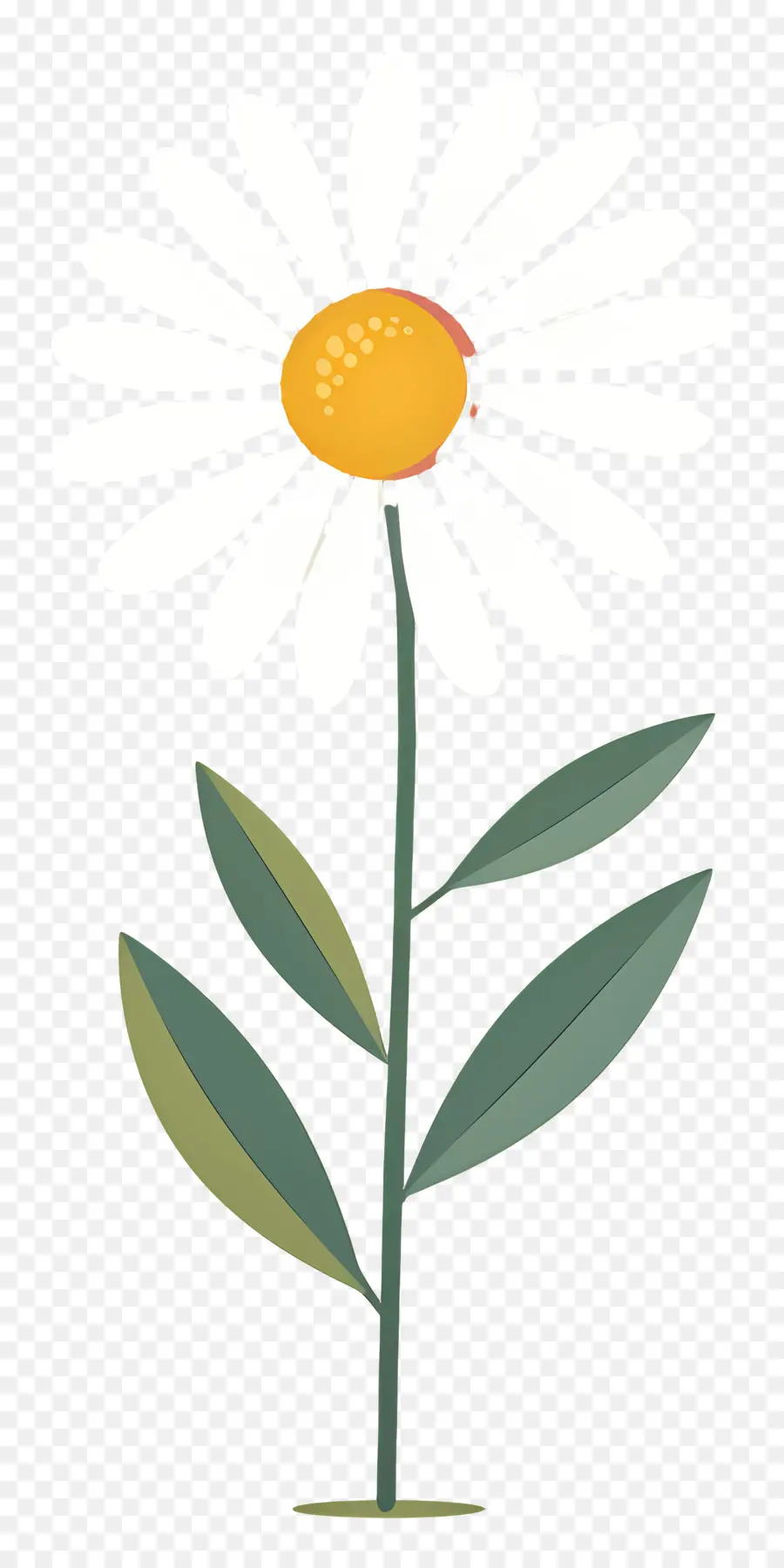 Flor De Margarita，Margarita Blanca PNG