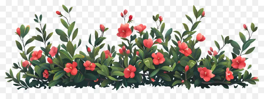 Arbusto De Flores，Arbusto Verde Con Flores Rojas PNG