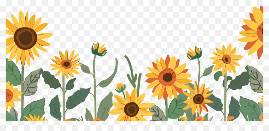 Frontera De Girasoles，Girasoles En Fila PNG