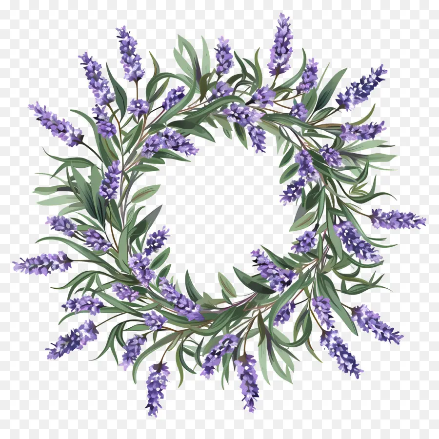 Corona De Lavanda，Hojas PNG