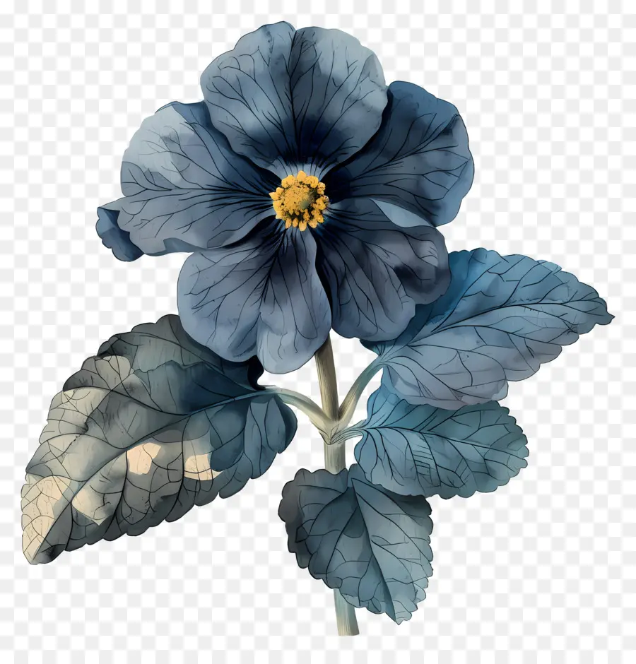 Flores Antiguas，Flor Azul PNG