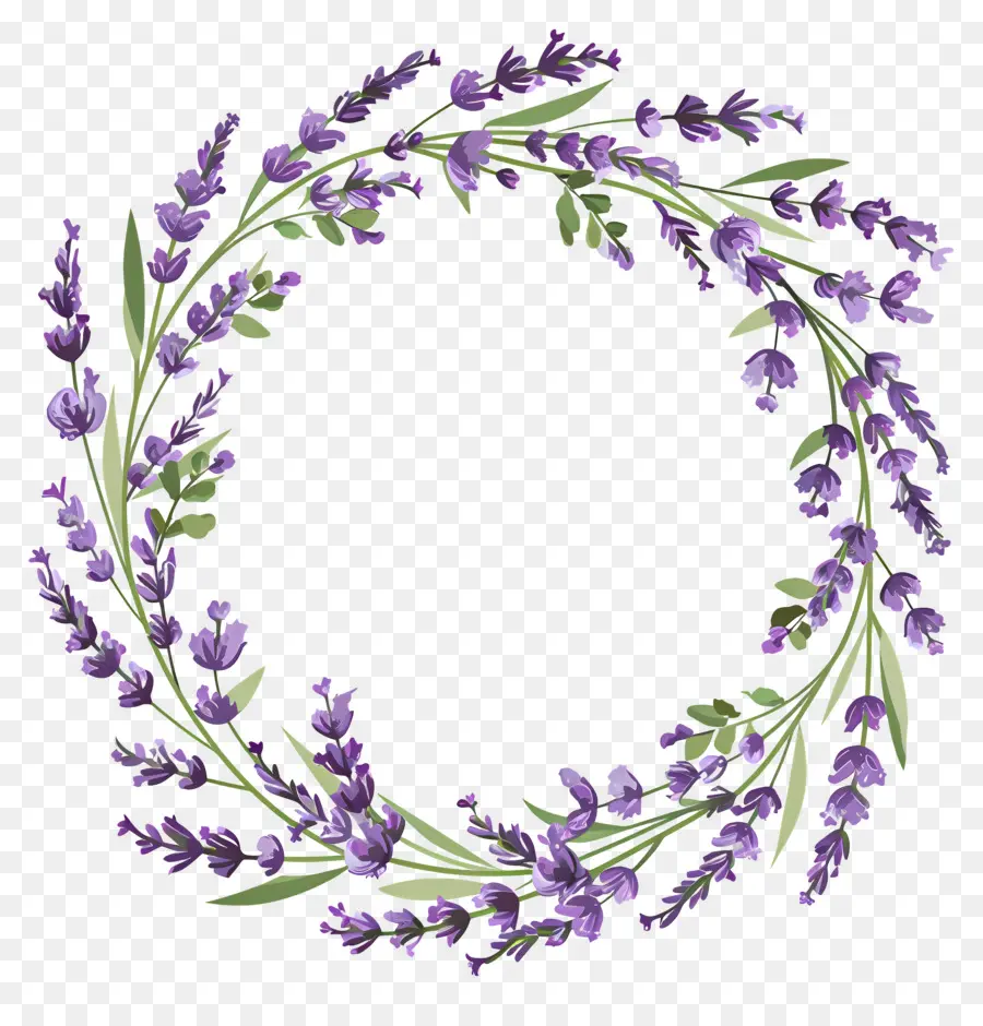 Corona De Lavanda，Hojas PNG