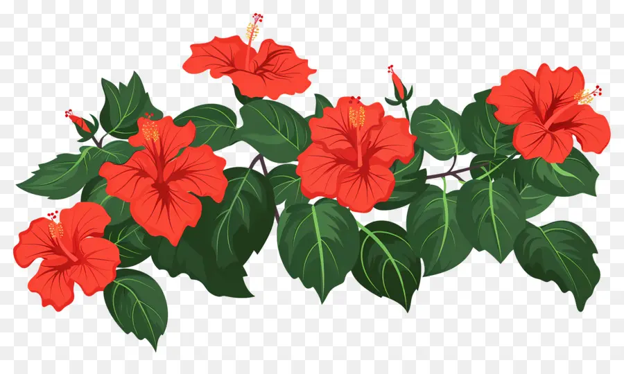 Arbusto De Flores，Flores Rojas PNG