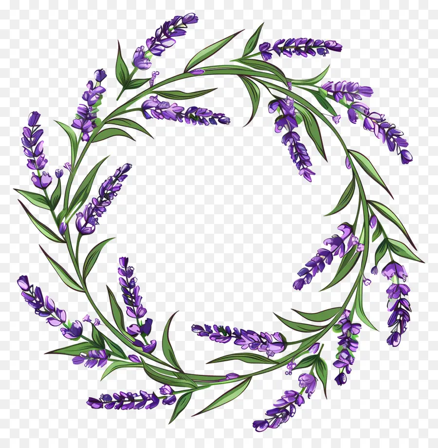 Corona De Lavanda，Hojas PNG