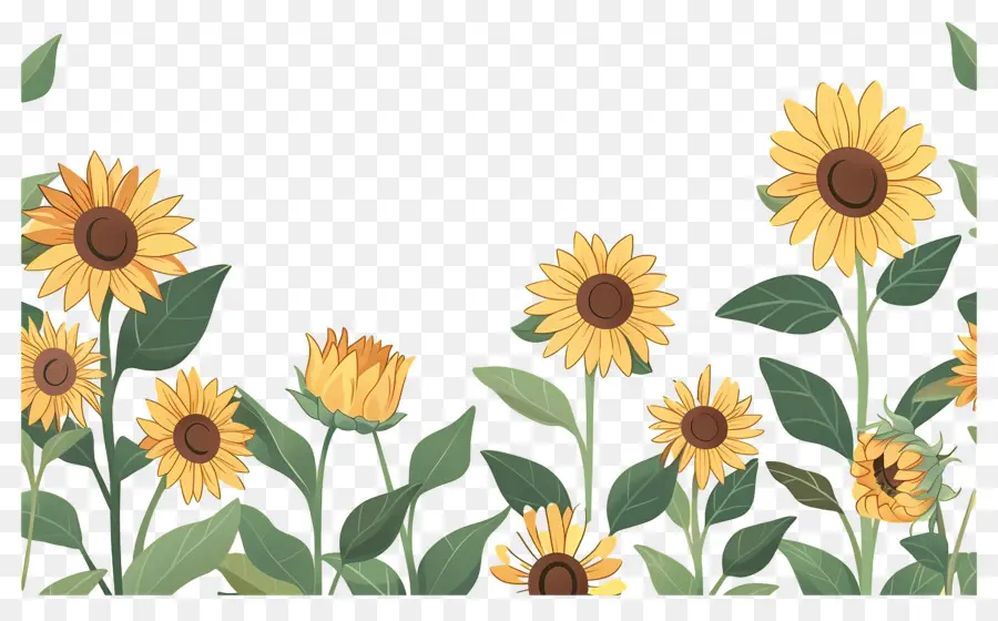 Frontera De Girasoles，Girasoles En Fila PNG