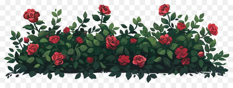 Rosal，Rosas Rojas PNG