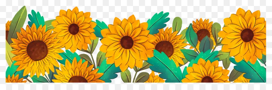 Frontera De Girasoles，Girasoles PNG