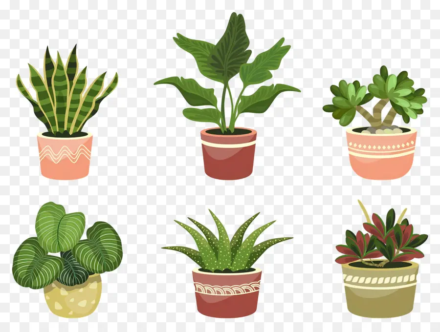 Flores En Macetas，Plantas En Macetas PNG