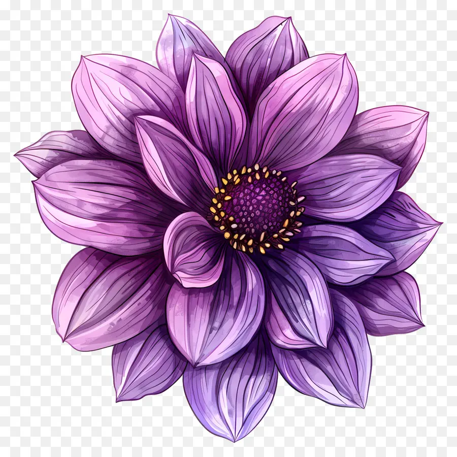 Flor De Dalia，Flor Morada PNG