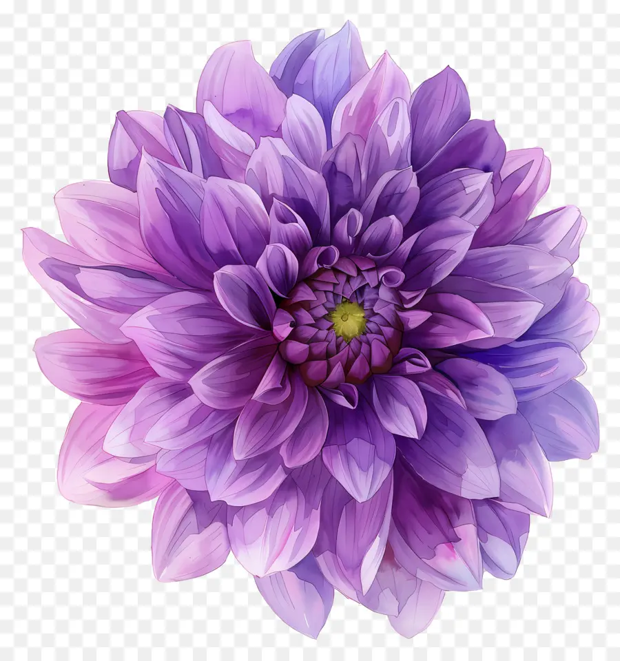 Flor De Dalia，Flor Morada PNG