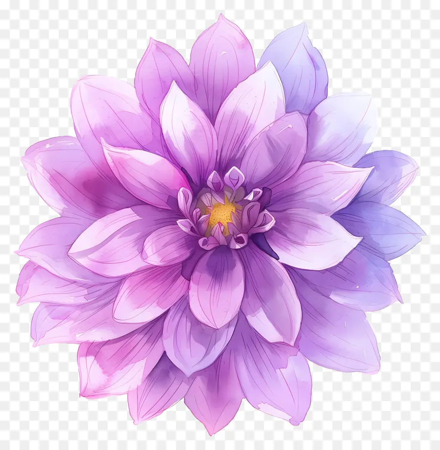 Flor De Dalia，Flor PNG