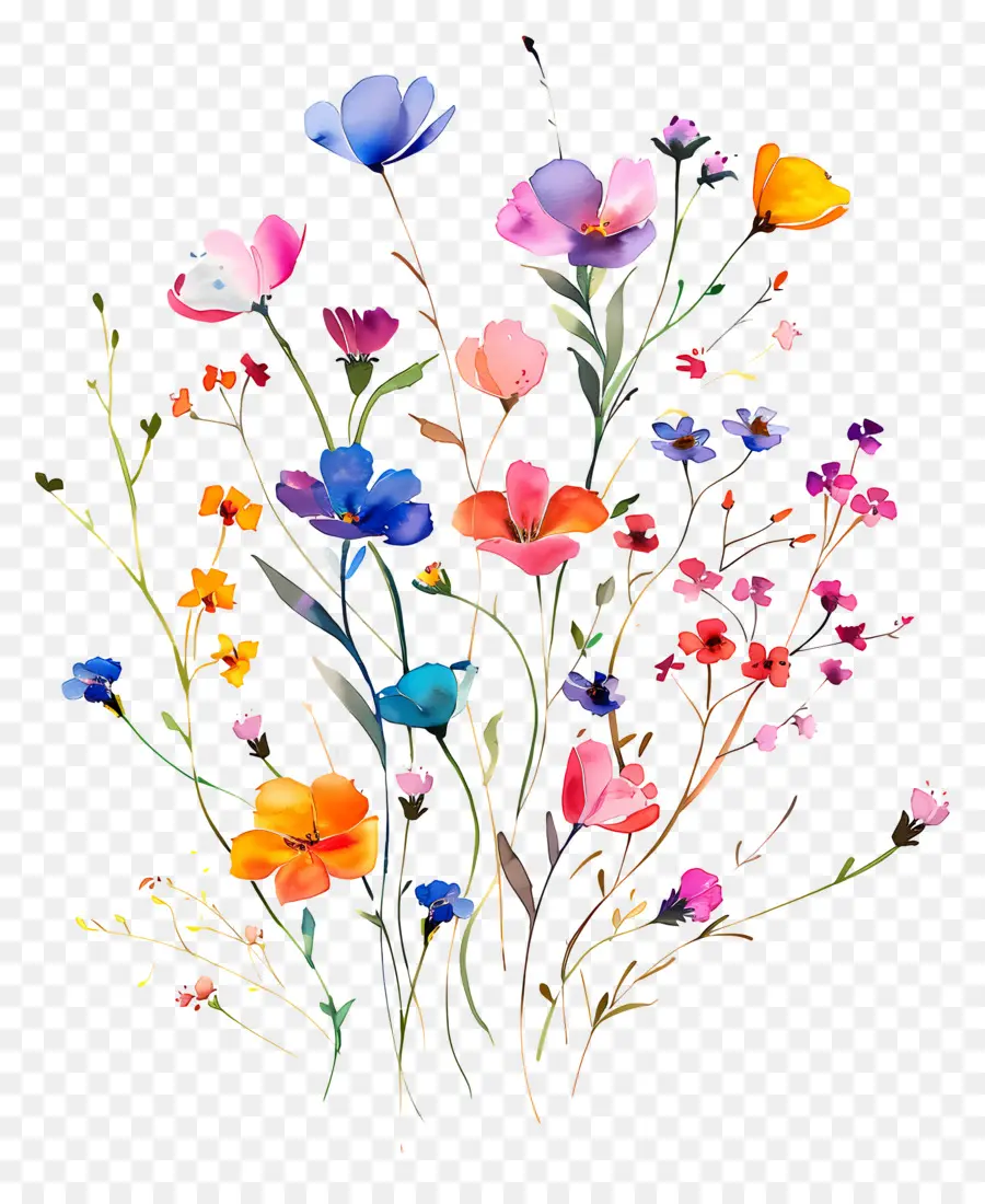 Fondo De Flores，Flores Coloridas PNG