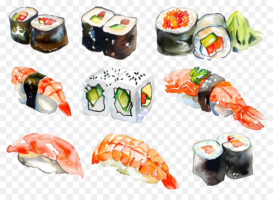 Sushi Acuarela，Sushi PNG