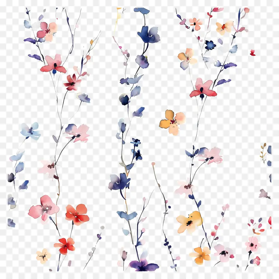 Fondo De Flores，Flores Coloridas PNG