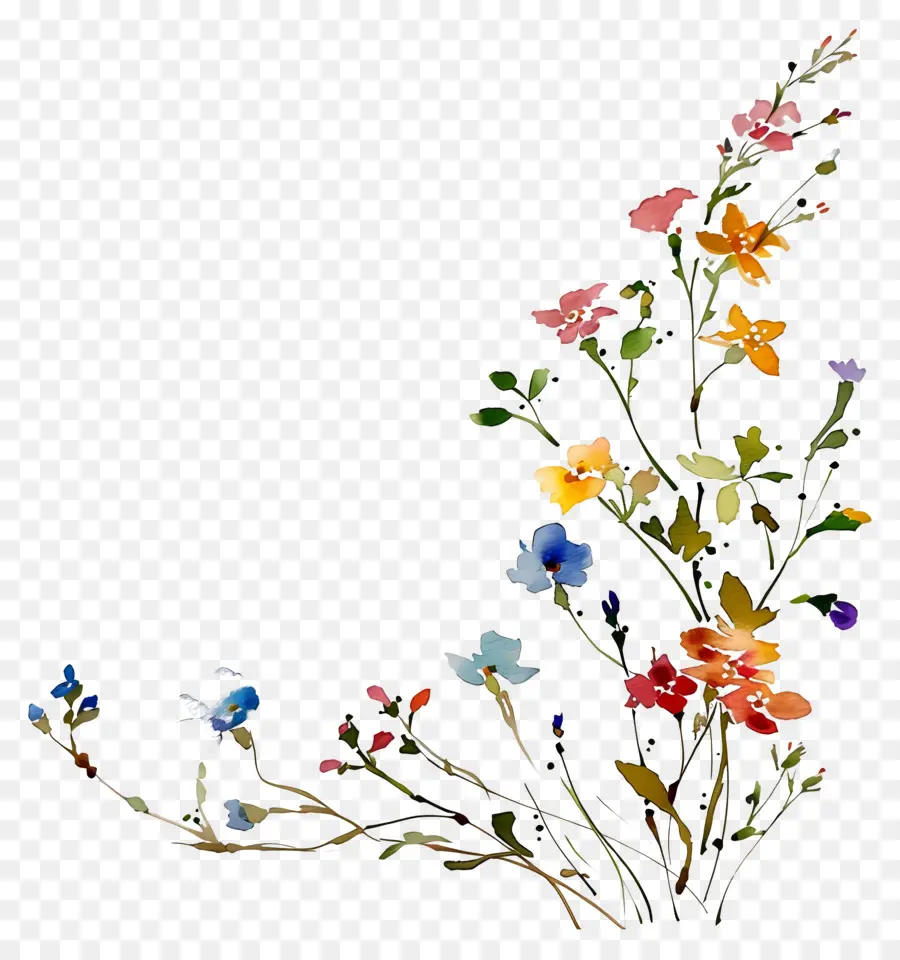 Fondo De Flores，Flores Coloridas PNG