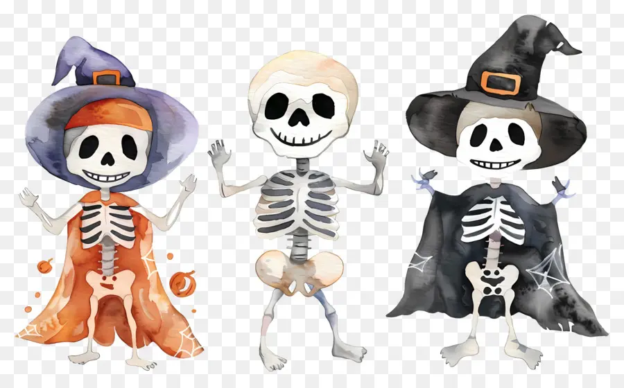 Esqueletos De Halloween，Esqueletos Con Sombreros De Bruja PNG