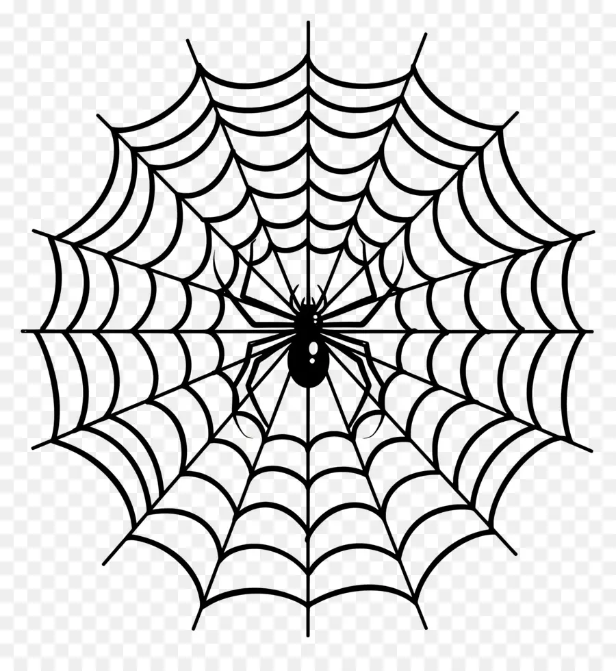 Telaraña De Halloween，Telaraña PNG