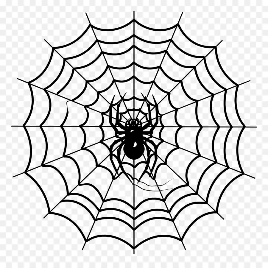 Telaraña De Halloween，Telaraña PNG