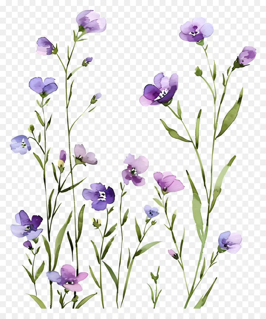 Fondo De Flores，Flores Pastel PNG