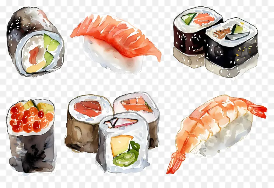 Sushi Acuarela，Sushi PNG