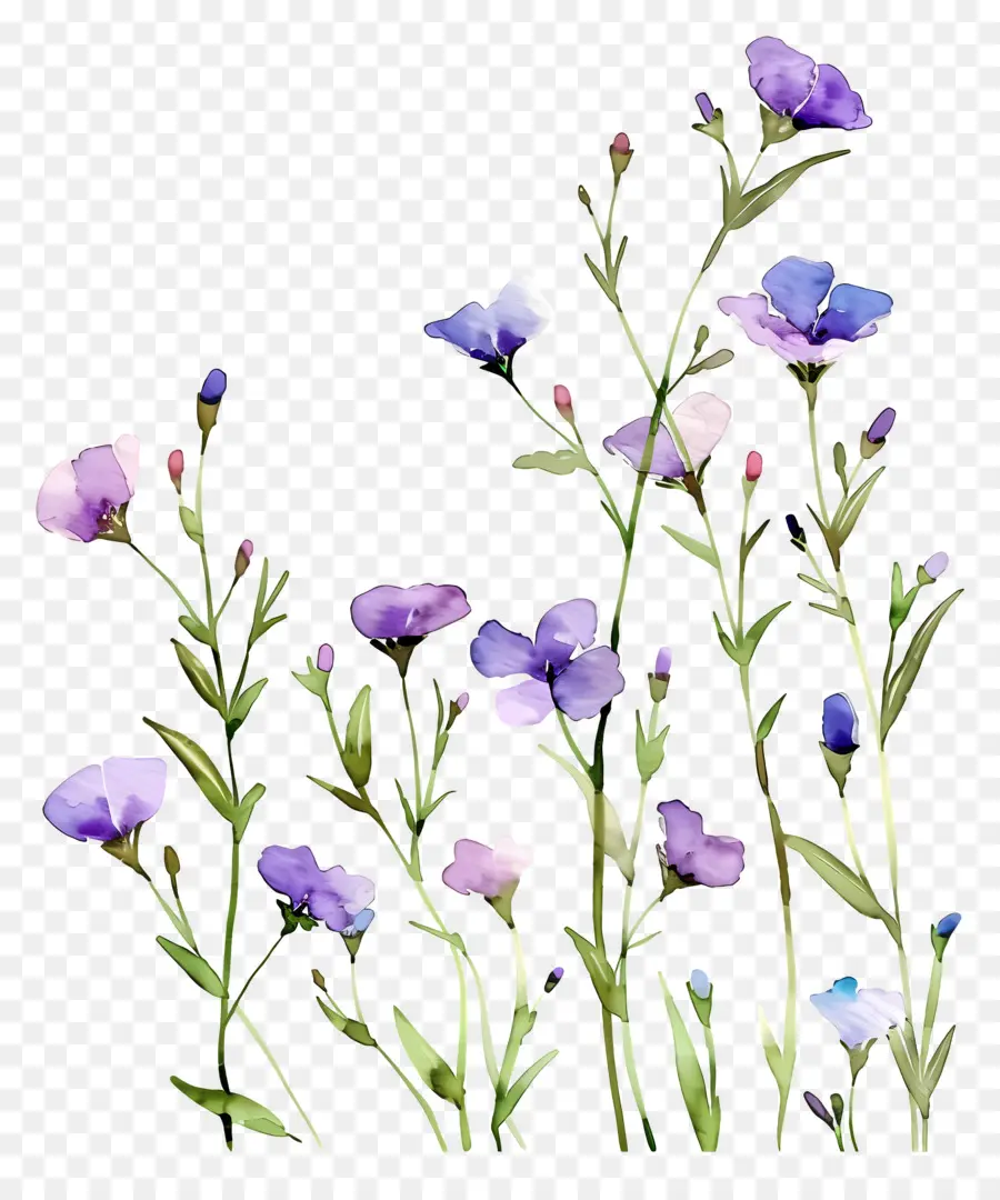 Fondo De Flores，Flores Pastel PNG