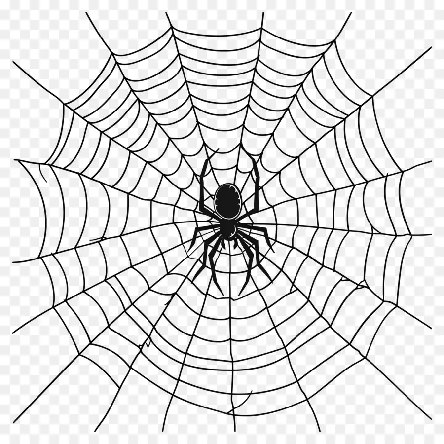 Telaraña De Halloween，Telaraña PNG