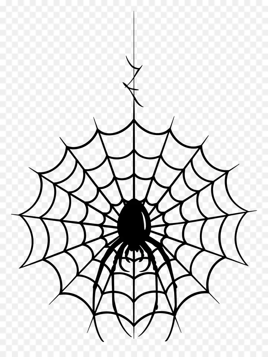 Telaraña De Halloween，Araña Y Telaraña PNG