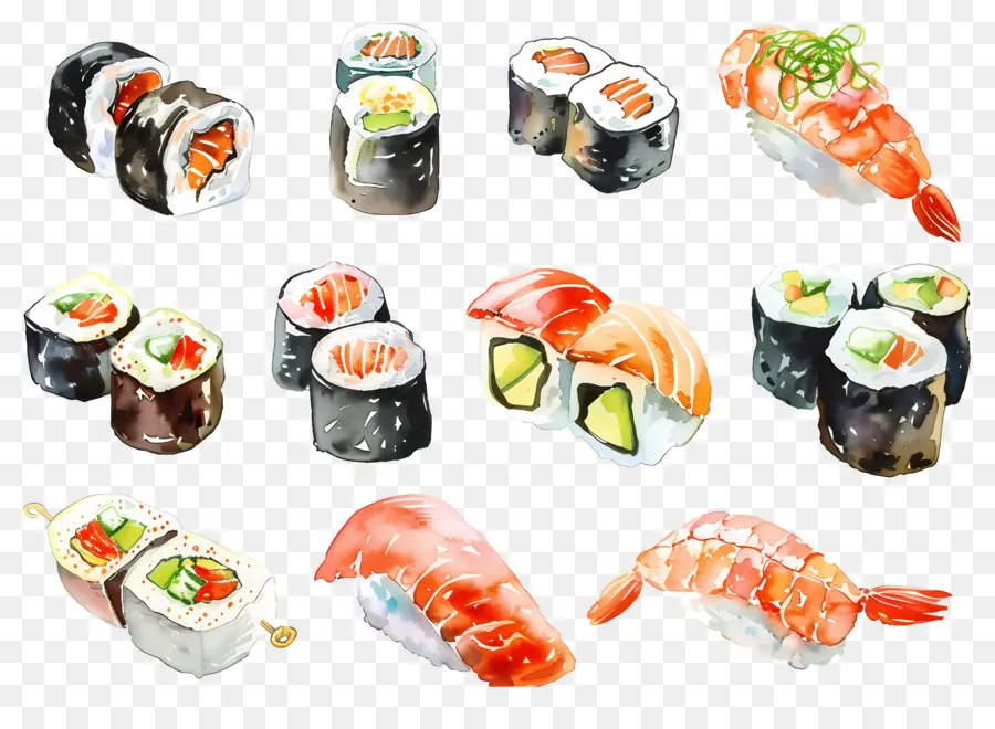 Sushi Acuarela，Sushi PNG