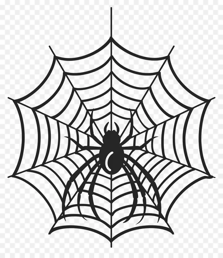 Telaraña De Halloween，Telaraña PNG