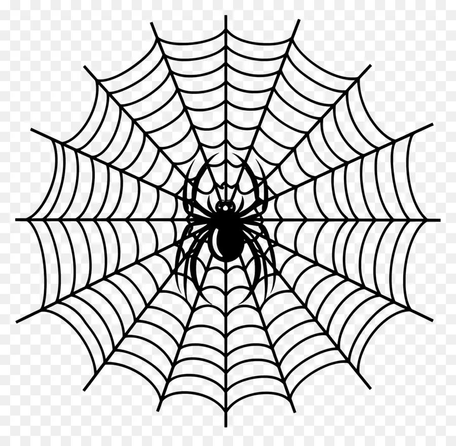 Telaraña De Halloween，Telaraña PNG