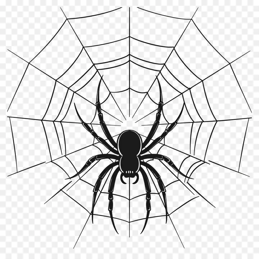 Telaraña De Halloween，Araña En La Web PNG