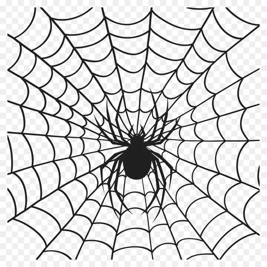 Telaraña De Halloween，Telaraña PNG