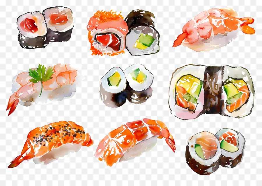 Sushi Acuarela，Sushi PNG