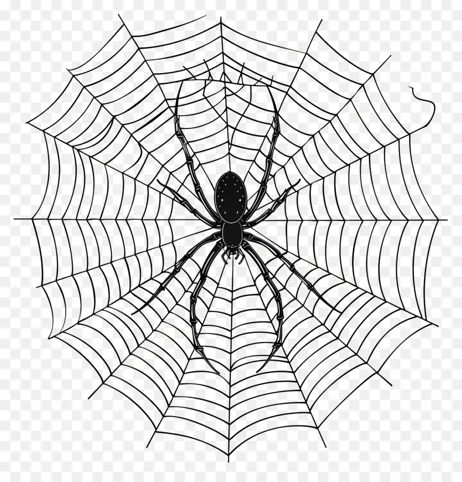 Telaraña De Halloween，Telaraña PNG