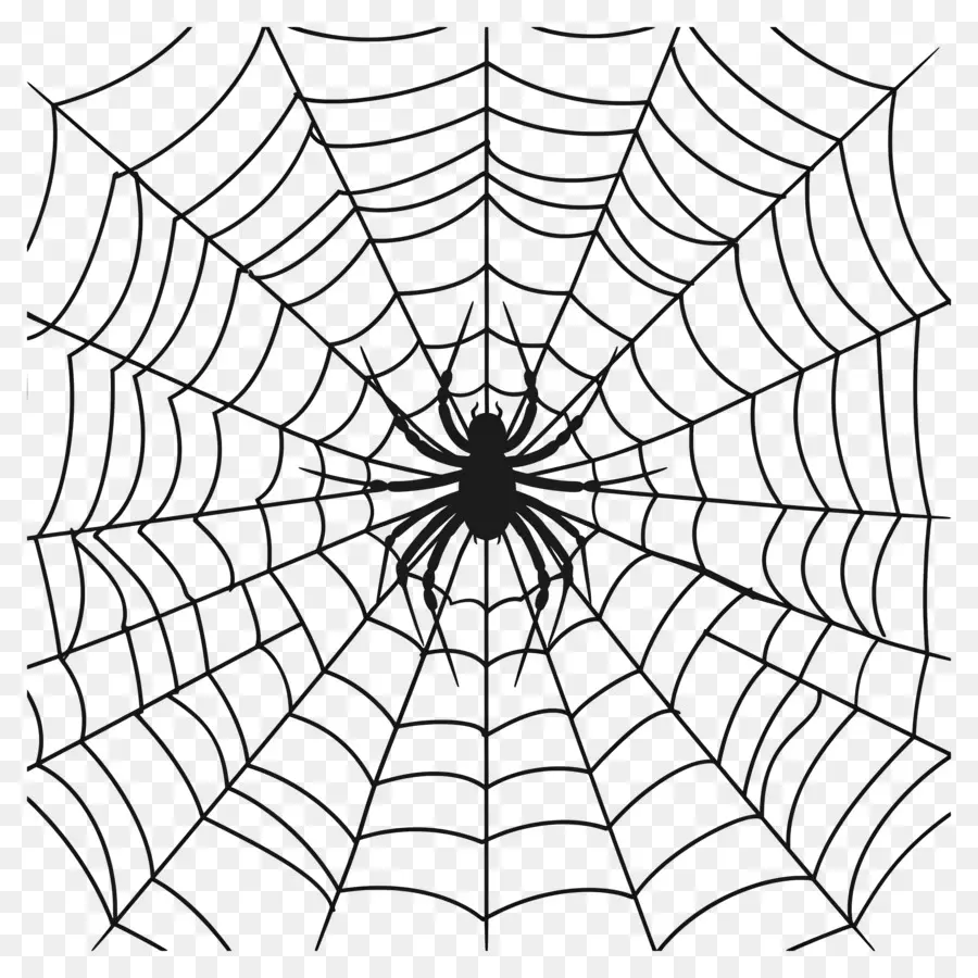 Telaraña De Halloween，Telaraña PNG