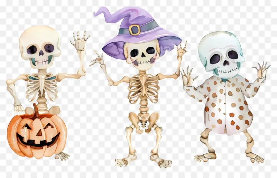 Esqueletos De Halloween，Esqueletos Con Sombreros De Bruja PNG