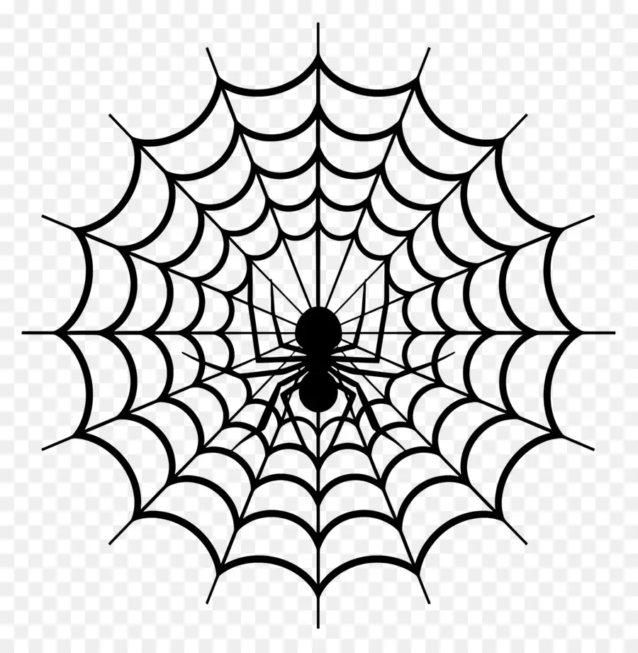 Telaraña De Halloween，Telaraña PNG